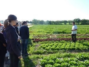 La ferme maraîchère de Lévéra