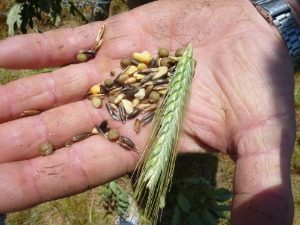 Mon après-midi à la ferme