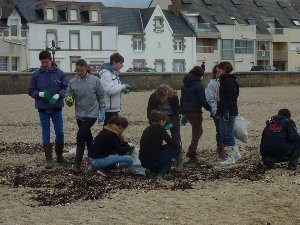 Nettoyage de plage