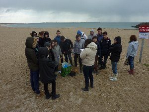 Le nettoyage de plage