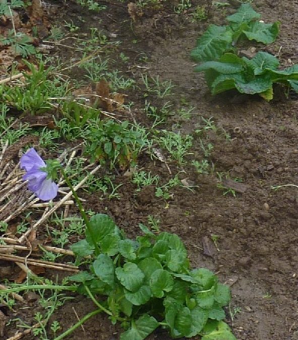 Nos activités en développement durable