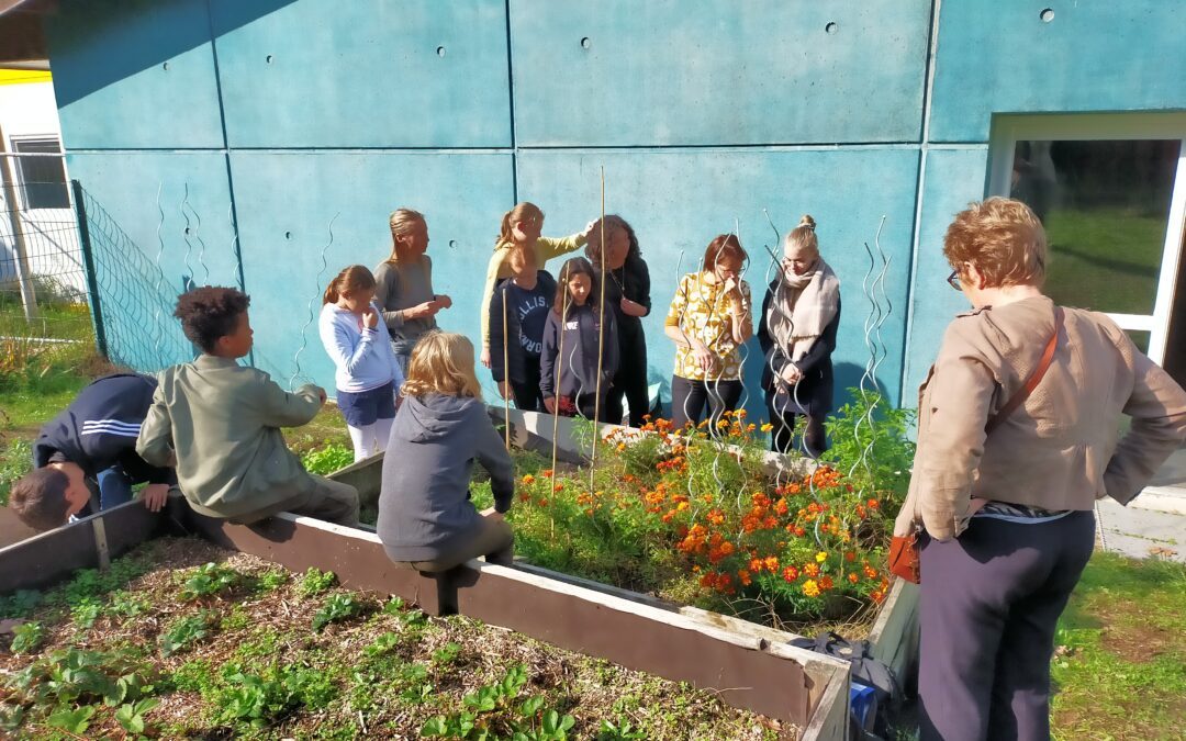 Visite du jardin du collège