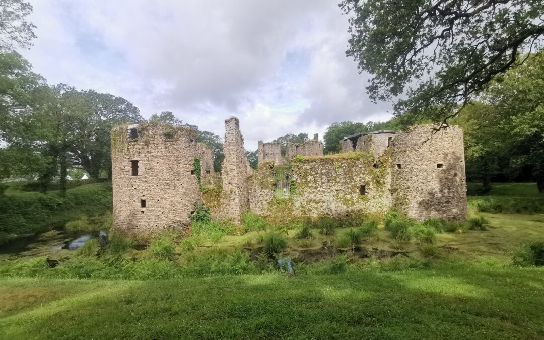 Les 5e visitent le château de Ranrouët !